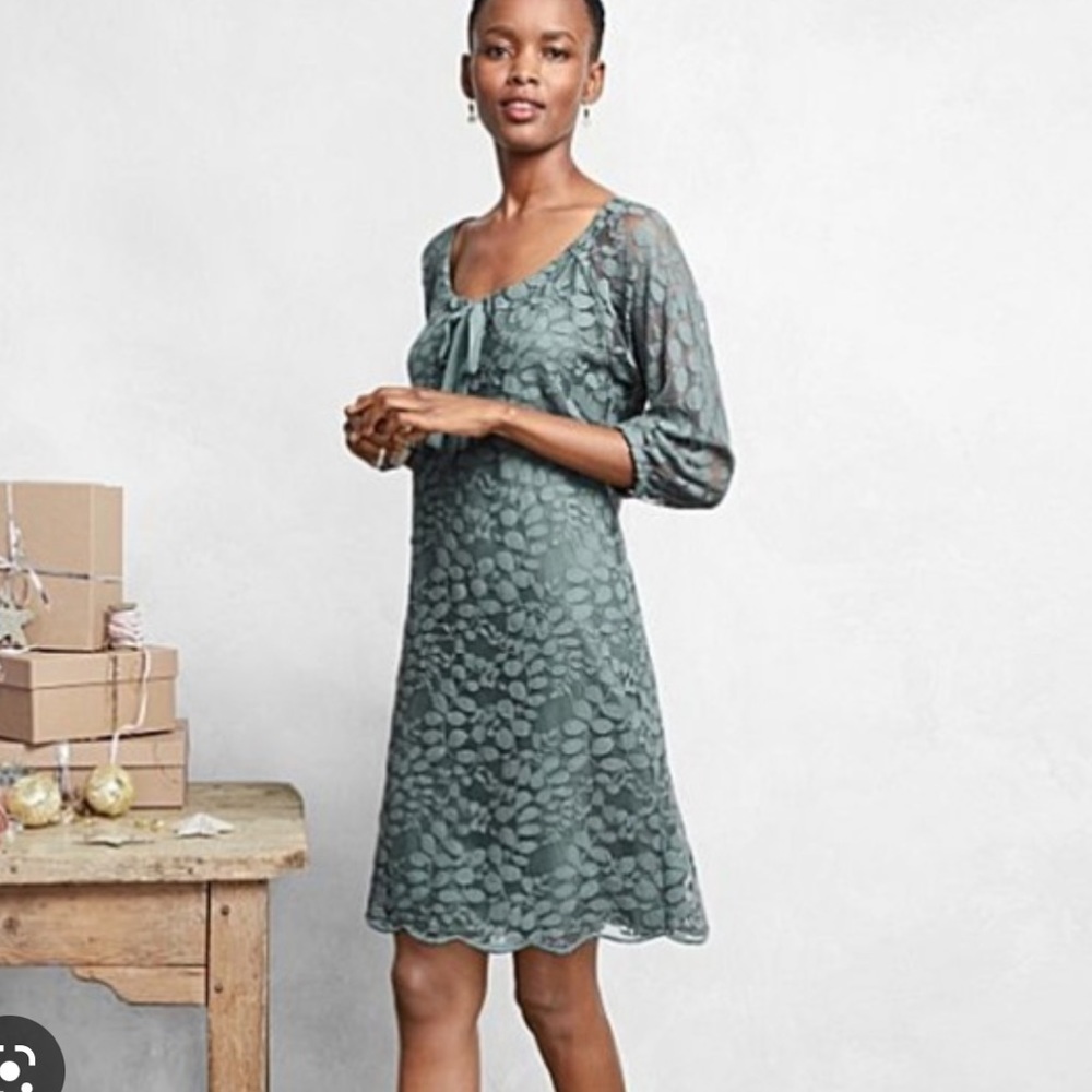 Garnet Hill Boheme Easy Lace Dress Sage